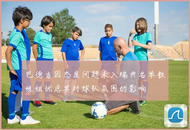 巴德吉因态度问题未入瑞典名单教练组忧虑其对球队氛围的影响
