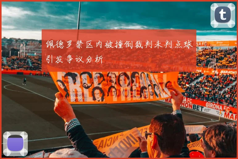 佩德罗禁区内被撞倒裁判未判点球引发争议分析