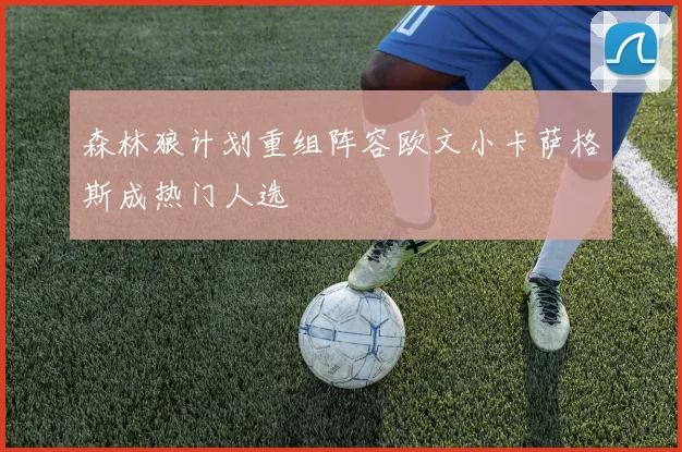 森林狼计划重组阵容欧文小卡萨格斯成热门人选